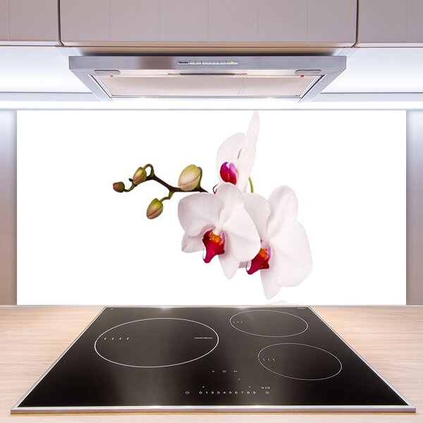Panou sticla bucatarie Flori Floral Roz Alb