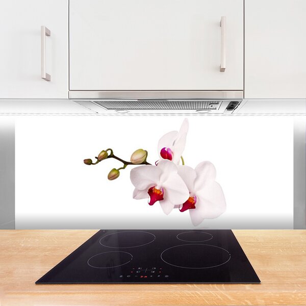 Panou sticla bucatarie Flori Floral Roz Alb