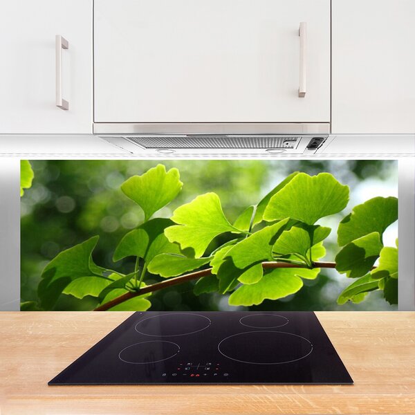 Panou sticla bucatarie Branch Frunze Floral verde maro