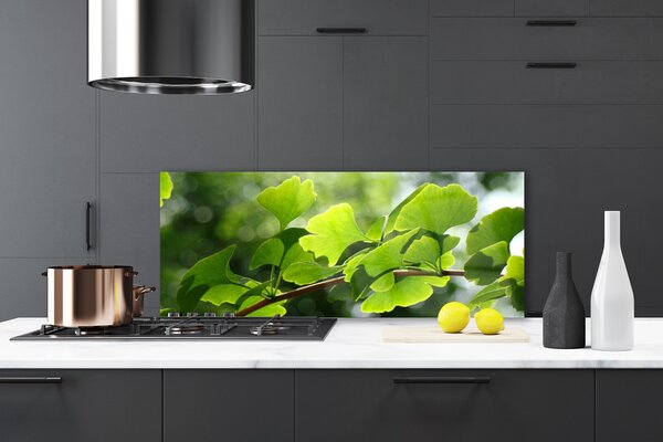 Panou sticla bucatarie Branch Frunze Floral verde maro