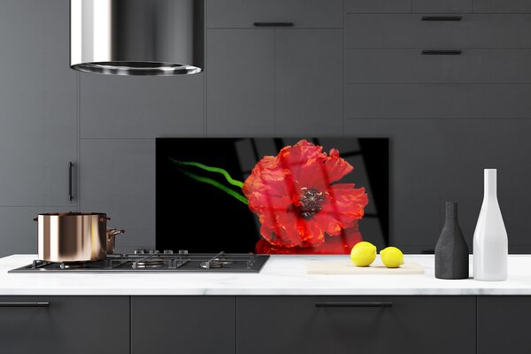 Panou sticla bucatarie Florale flori Roșu