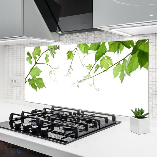 Panou sticla bucatarie Sucursale Frunze Floral verde maro