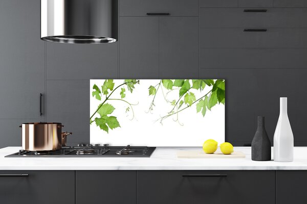 Panou sticla bucatarie Sucursale Frunze Floral verde maro
