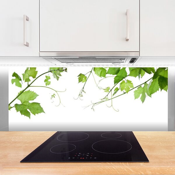 Panou sticla bucatarie Sucursale Frunze Floral verde maro