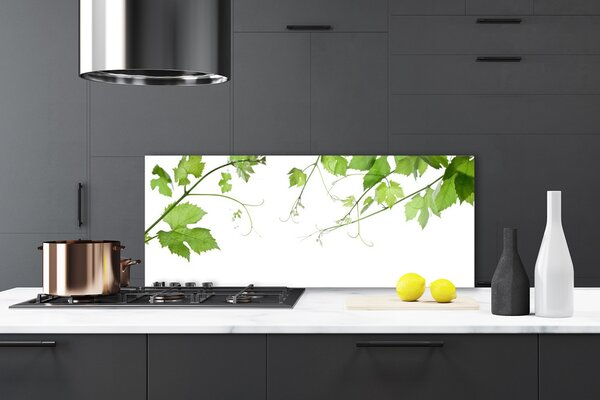 Panou sticla bucatarie Sucursale Frunze Floral verde maro