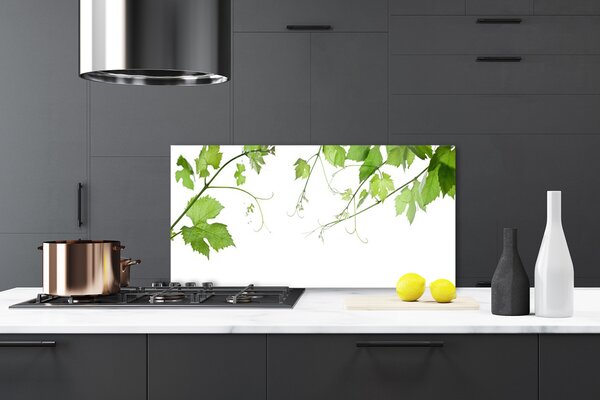 Panou sticla bucatarie Sucursale Frunze Floral verde maro
