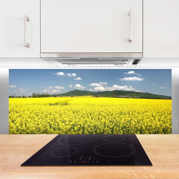 Panou sticla bucatarie Meadow Natura Galben