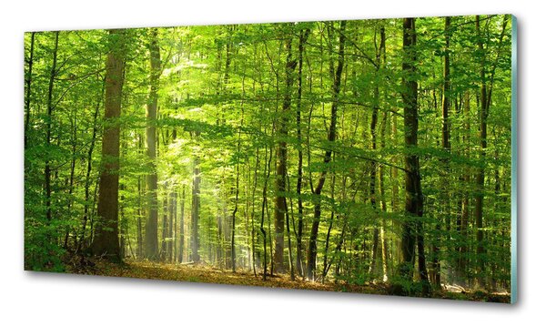 Panou sticla securizata bucatarie pădure de foioase