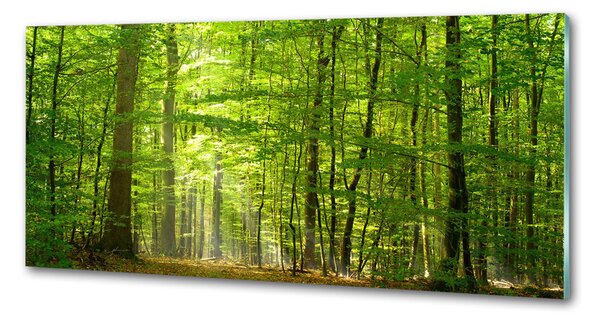 Panou sticla securizata bucatarie pădure de foioase