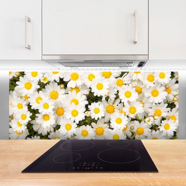 Panou sticla bucatarie Daisy Floral Galben Alb