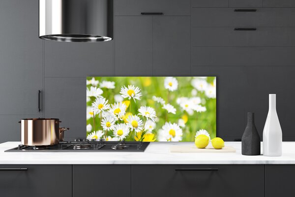 Panou sticla bucatarie Daisy Floral Galben Alb