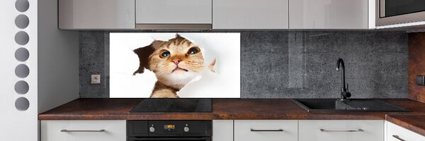 Sticlă pentru bucătărie Cat în gaura