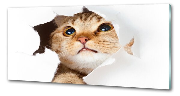 Sticlă pentru bucătărie Cat în gaura