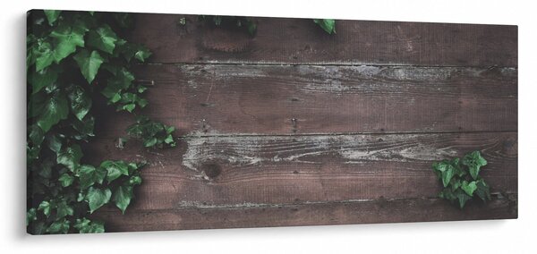 Tablou - Lederă (120x50 cm)