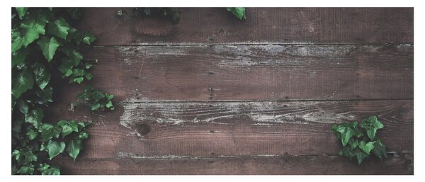 Tablou - Lederă (120x50 cm)
