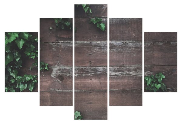 Tablou - Lederă (150x105 cm)