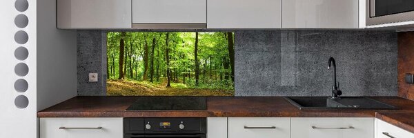 Panou perete bucătărie drum forestier