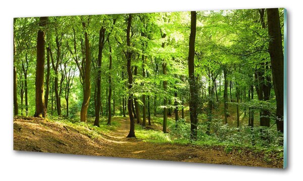 Panou perete bucătărie drum forestier