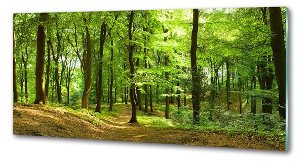 Panou perete bucătărie drum forestier