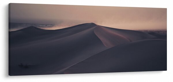 Tablou - Valuri de nisip (120x50 cm)