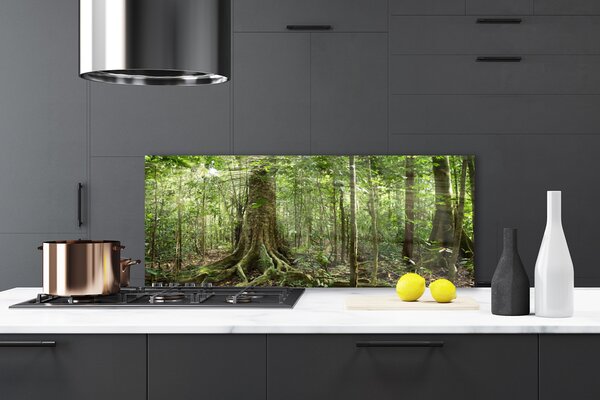 Panou sticla bucatarie Natural Pădurea Verde Maro