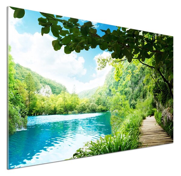 Panou sticlă bucătărie Cascada din pădure