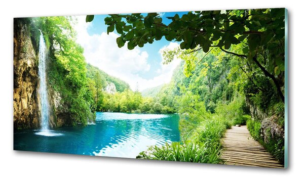 Panou sticlă bucătărie Cascada din pădure