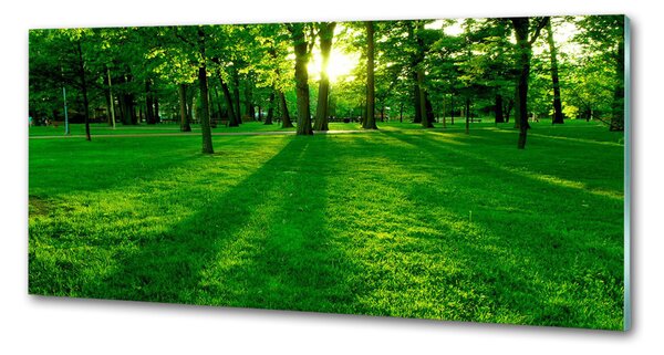 Panou sticlă decorativa bucătărie Iarba în parc