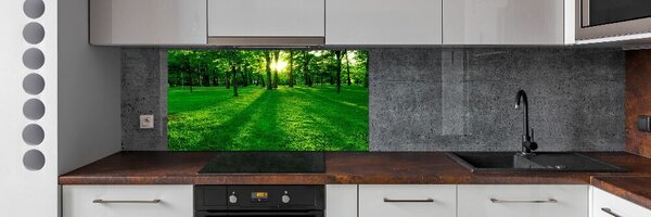 Panou sticlă decorativa bucătărie Iarba în parc