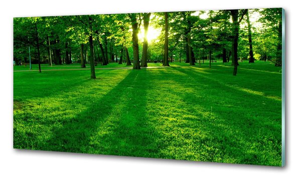 Panou sticlă decorativa bucătărie Iarba în parc