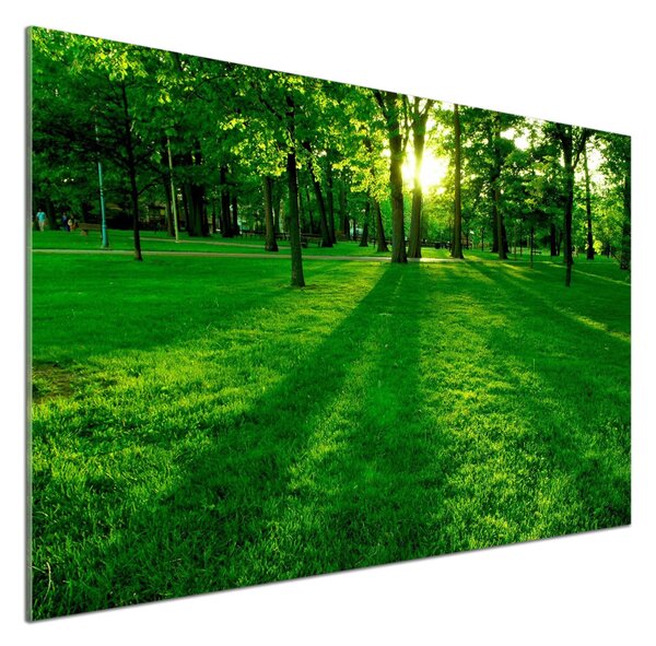 Panou sticlă decorativa bucătărie Iarba în parc