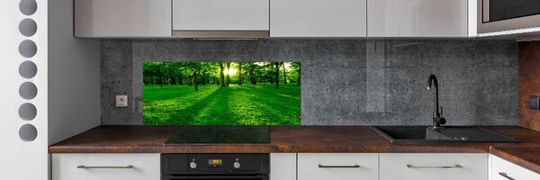 Panou sticlă decorativa bucătărie Iarba în parc