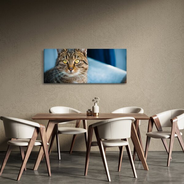 Tablou - Pisica domestică (120x50 cm)