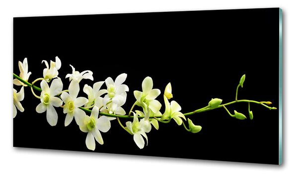 Panou de bucătărie Orhidee