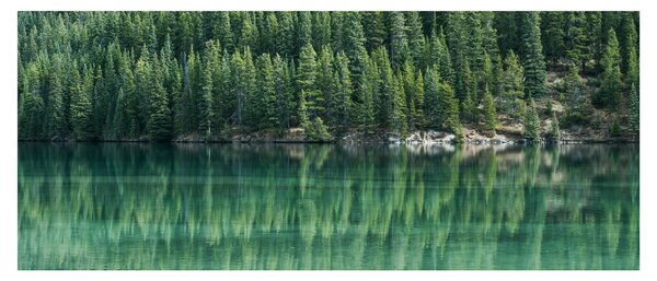 Tablou - Coniferi lângă lac (120x50 cm)