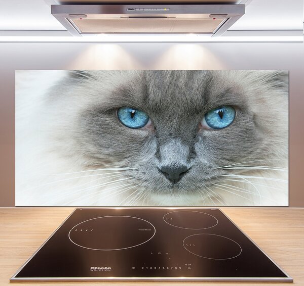Panou sticlă decorativa bucătărie Cat ochi albaștri