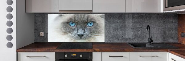 Panou sticlă decorativa bucătărie Cat ochi albaștri