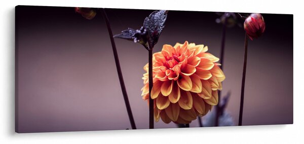 Tablou - Floare (120x50 cm)