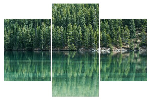 Tablou - Coniferi lângă lac (90x60 cm)