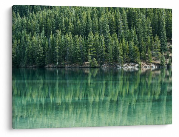 Tablou - Coniferi lângă lac (70x50 cm)