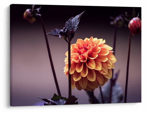 Tablou - Floare (70x50 cm)