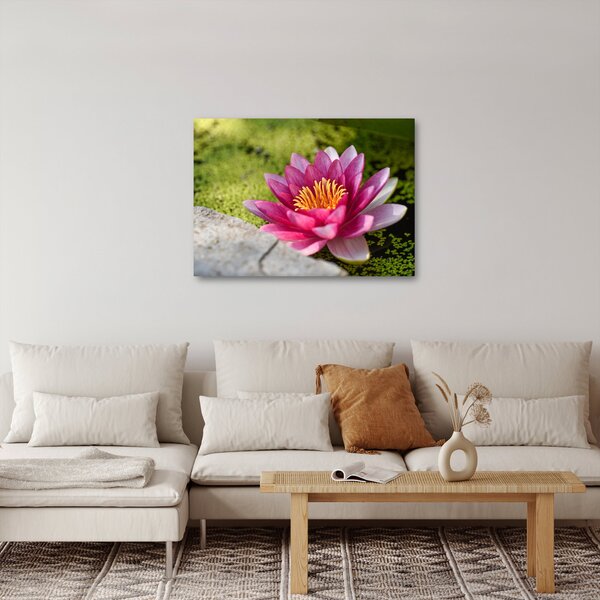 Tablou - Lotus (70x50 cm)