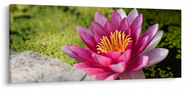 Tablou - Lotus (120x50 cm)
