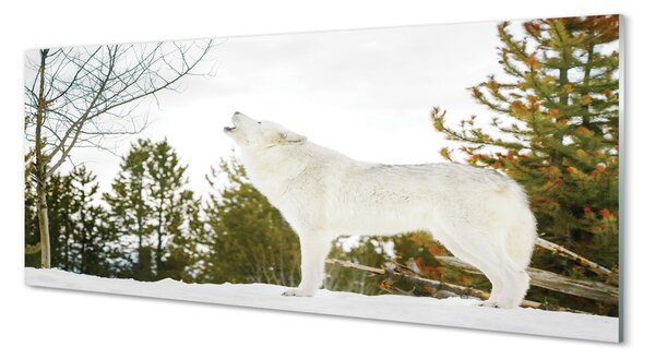 Panouri de sticlă pădure de iarnă Wolf