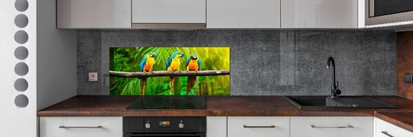 Panou sticla securizata bucatarie Papagalii pe o ramură