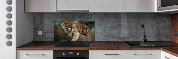 Sticlă bucătărie Tiger pe un copac