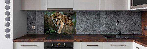 Sticlă bucătărie Tiger pe un copac