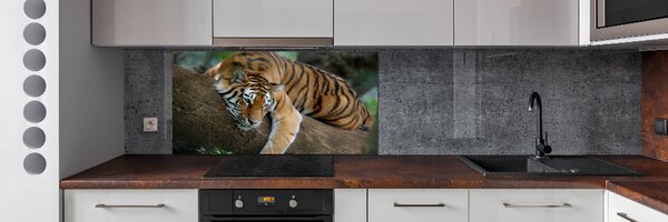 Sticlă bucătărie Tiger pe un copac