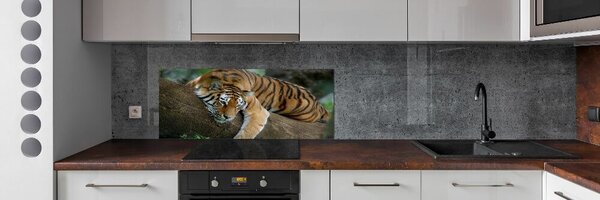 Sticlă bucătărie Tiger pe un copac