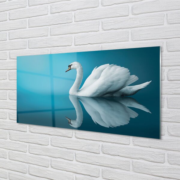 Panouri de sticlă Swan în apă